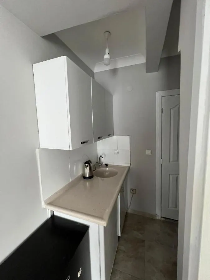 Apartment Taksim Millennium Suit Hotel Istanbul Turkey